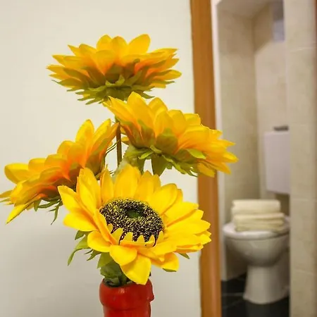 Palazzo Armony 3* ביטריטו